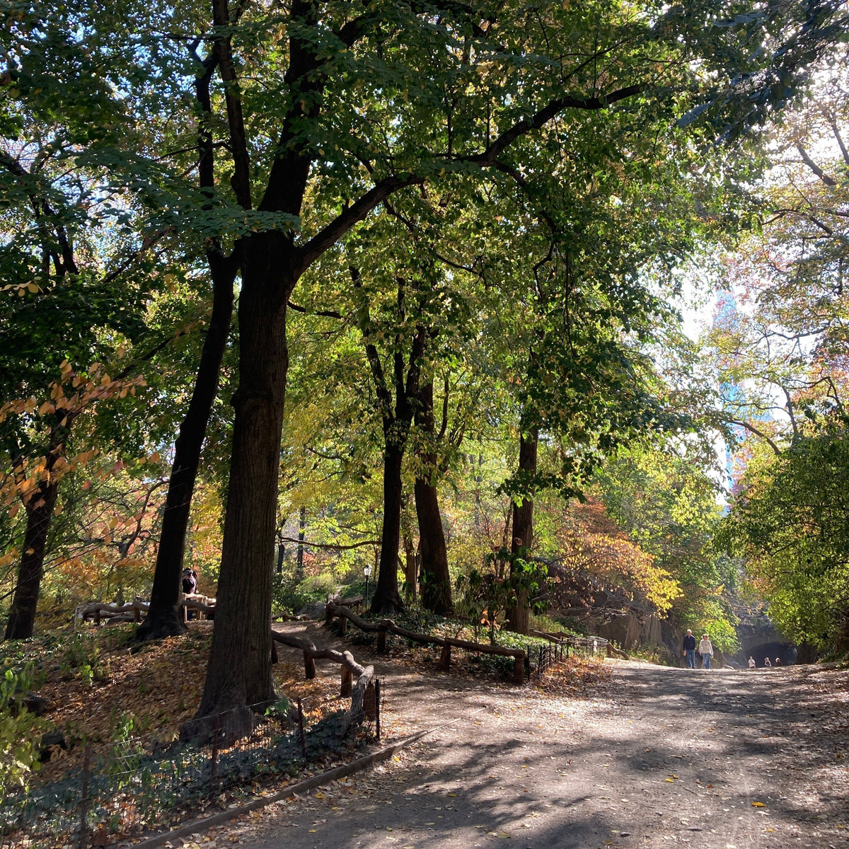A peaceful pathway in New York City representing slow living and mindful consumption