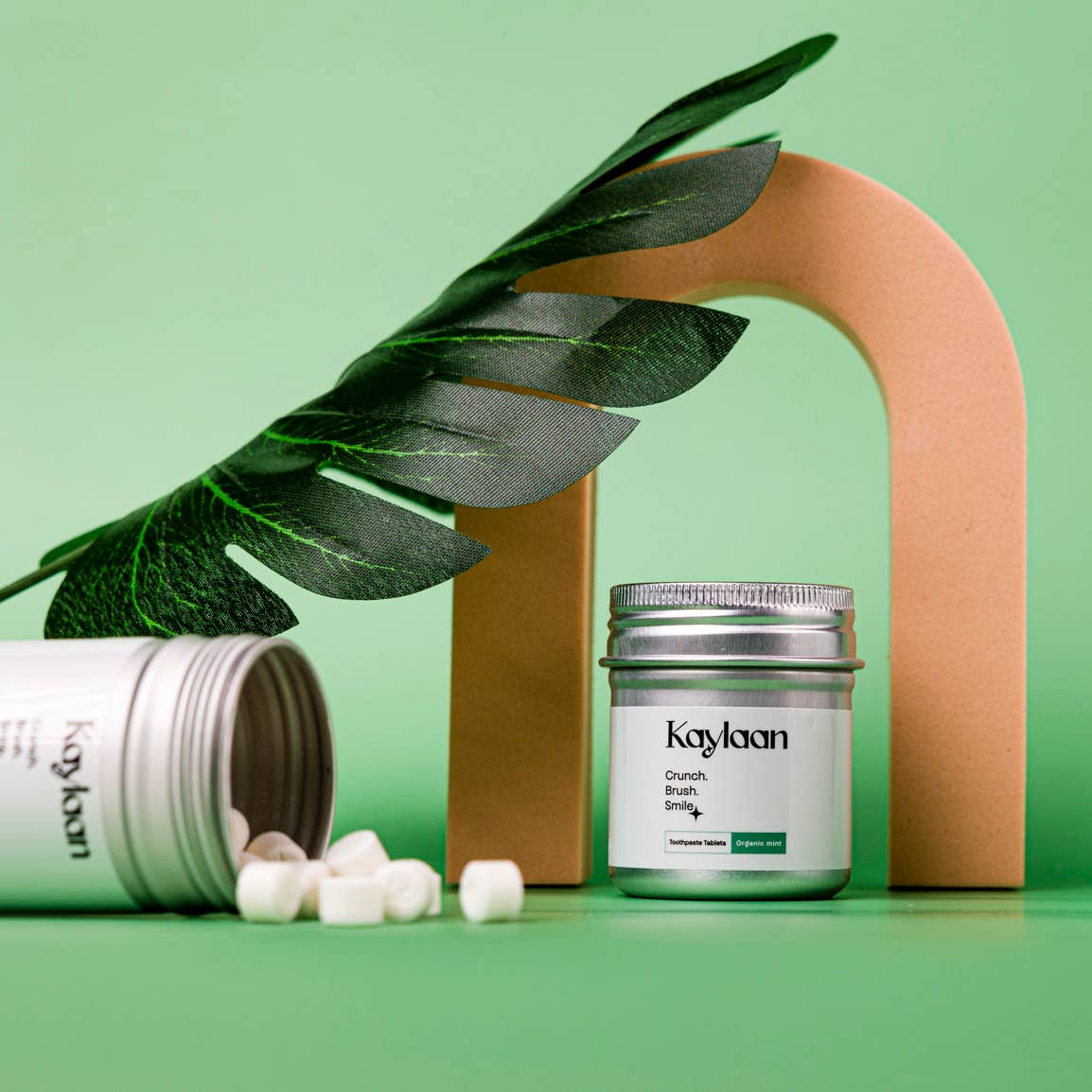 Kaylaan Mint Toothpaste Tablets