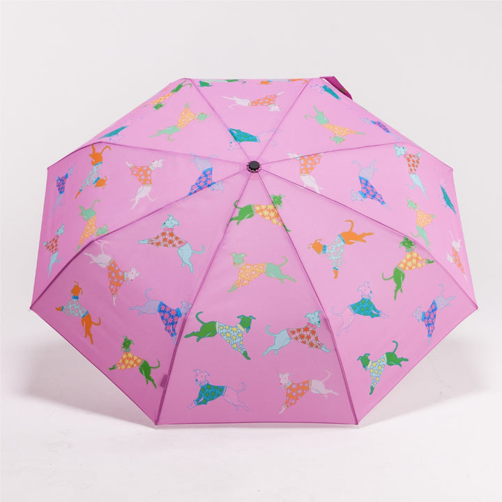 Duck Umbrella: Limited Edition