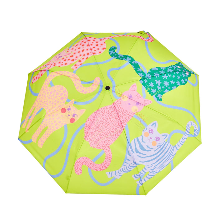 Duck Umbrella: Limited Edition