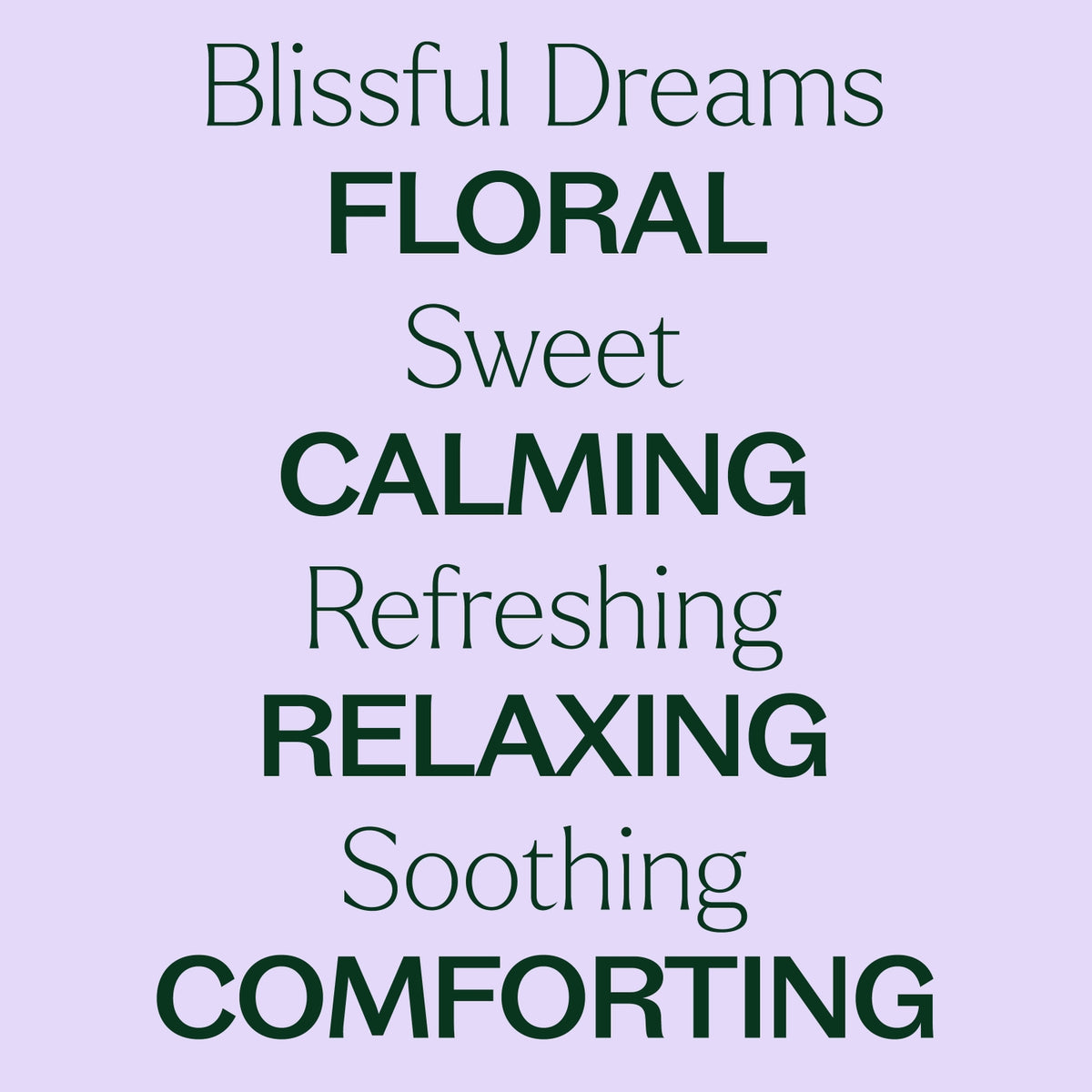 Plant Therapy - Blissful Dreams