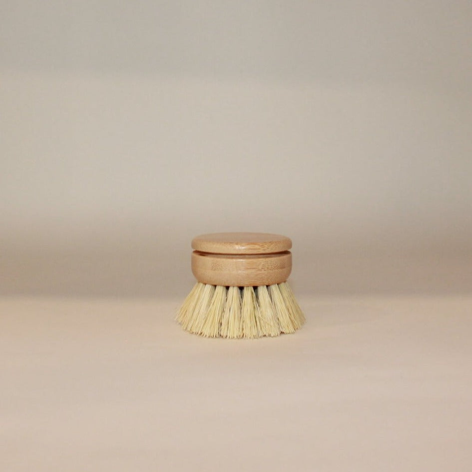 Sisal Kitchen Brush refill