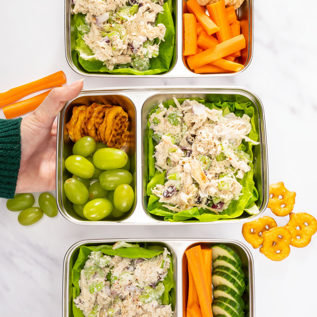 Divided Stainless Steel Food Storage With 2 Compartments