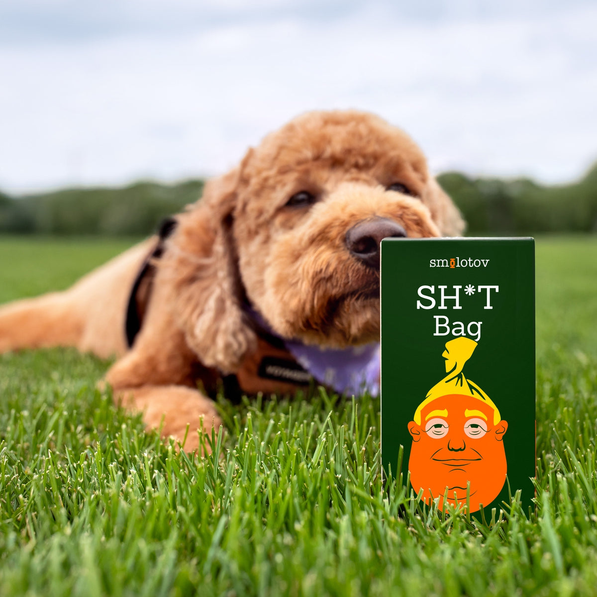 Dog lying on grass next to a book titled 'Sh*t Bag' by Smailotov
