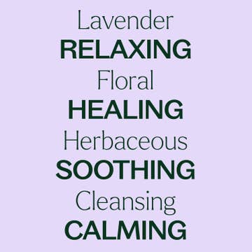 Plant Therapy - Organic Lavender