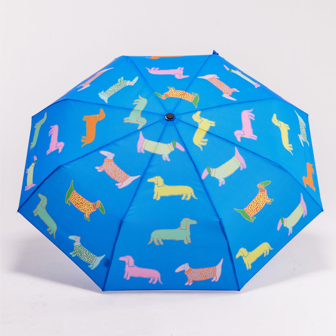 Duck Umbrella: Limited Edition
