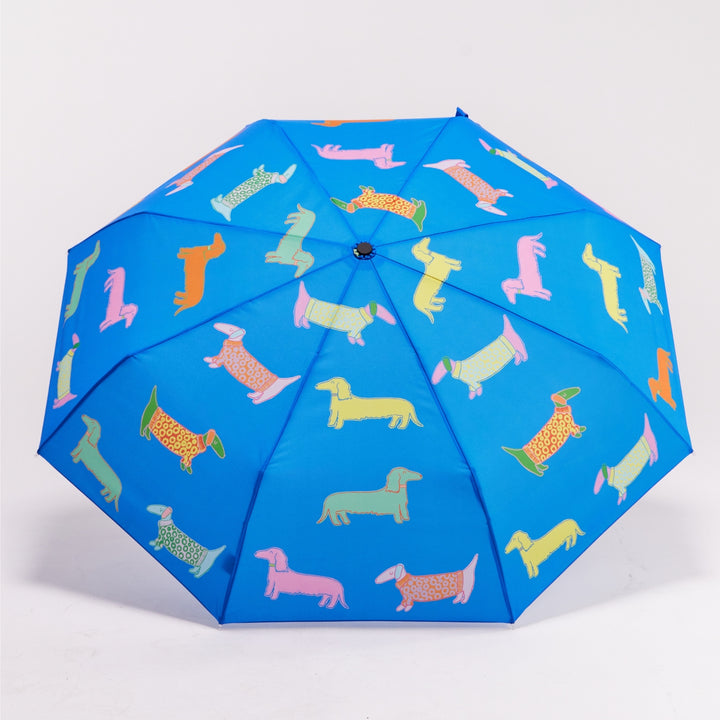 Duck Umbrella: Limited Edition