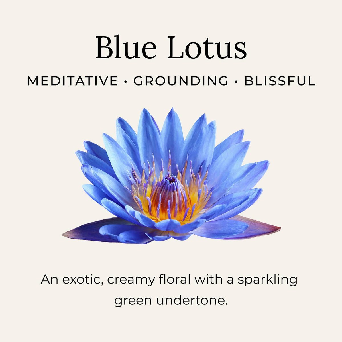 Blue Lotus Deodorant Cream