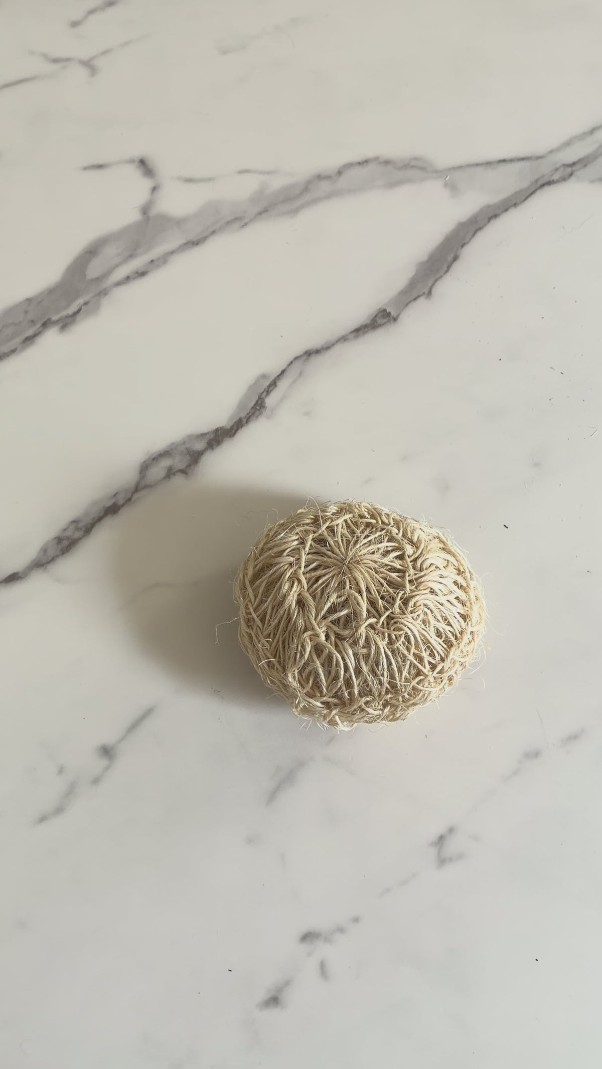 Sisal Body Sponge