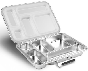 Stainless steel compartmentalized food tray with lid on a white background, plastic detox, plastic free